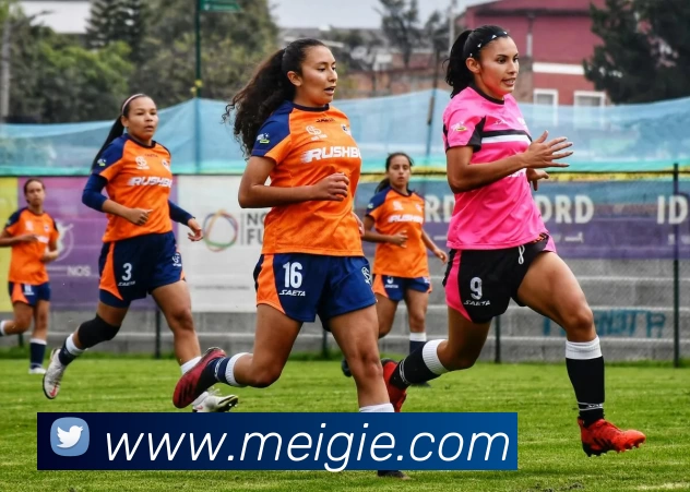 九游体育服务体系